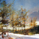 Colori d'inverno