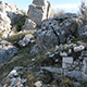 piczi_superius_f1