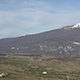 piczi_superius_f10